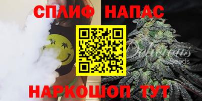 бошки Будённовск
