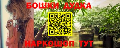индика Гусиноозёрск